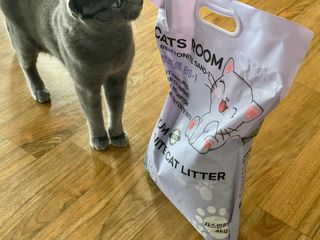 겟플렉스 켓플렉스 캣츠룸BS-1 고양이모래 4kg — 5점을 준 리뷰어가 2021년 1월 올린 사용 사진