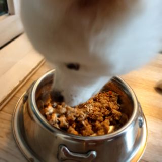 kay님이 올린 리뷰 사진 1