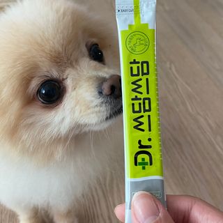 세지니힛님이 올린 리뷰 사진 4