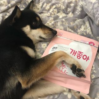 My Pet Care 천연단백질 관절건강에 개좋아 — 3.5점을 준 리뷰어가 2021년 1월 올린 사용 사진