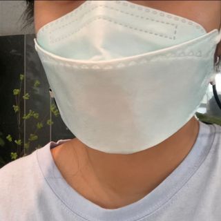[이지아 마스크] 애니가드 더솔루션마스크 KF80 대형 컬러 4종 — 5점을 준 리뷰어가 2021년 6월 올린 사용 사진