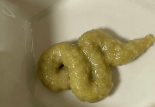 아우로라님이 올린 리뷰 사진 3