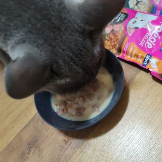 비타크래프트 포에시 델리스 고양이 파우치 85g 9가지맛 1팩씩 — 5점을 준 리뷰어가 2021년 8월 올린 사용 사진