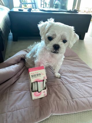 콩이님이 올린 리뷰 사진 3