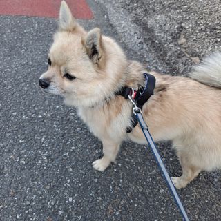 고유경님이 올린 리뷰 사진 1