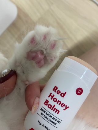 율집사님이 올린 리뷰 사진 3