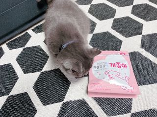 My Pet Care 천연단백질 관절건강에 개좋아 — 4.5점을 준 리뷰어가 2021년 3월 올린 사용 사진