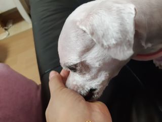 진진이님이 올린 리뷰 사진 4