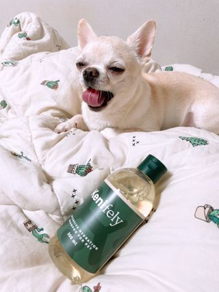 예지김님이 올린 리뷰 사진 2