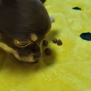 란다김님이 올린 리뷰 사진 4
