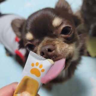 나초단맘님이 올린 리뷰 사진 4