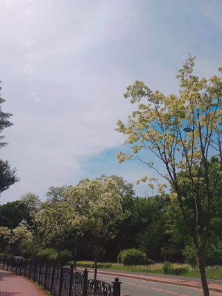 0.8L 마케팅팀 - — 4점을 준 리뷰어가 2021년 5월 올린 사용 사진