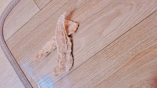 [보헤리] 국내산 강아지 육포간식 바삭 64 2종 — 5점을 준 리뷰어가 2022년 4월 올린 사용 사진