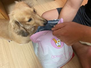 치토스님이 올린 리뷰 사진 4