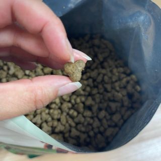 영국 바이탈린 강아지 애견사료 2kg — 5점을 준 리뷰어가 2021년 6월 올린 사용 사진