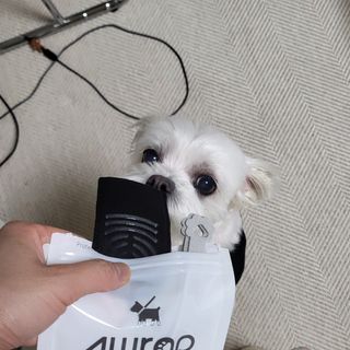 홍효정님이 올린 리뷰 사진 2