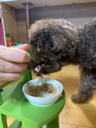 콩지님이 올린 리뷰 사진 3