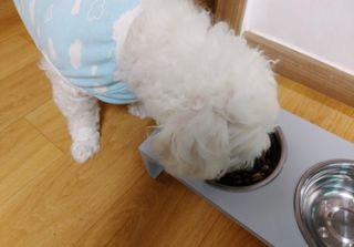 단발소녀님이 올린 리뷰 사진 2