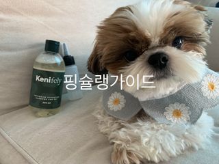 박코끼리님이 올린 리뷰 사진 4