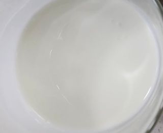 하나마이 [BEST 판매율 1위] 카스피해 유산균 종균_발효기가 필요없이 간편하게 만들어 먹는 요거트 생유산균 — 4점을 준 리뷰어가 2023년 3월 올린 사용 사진