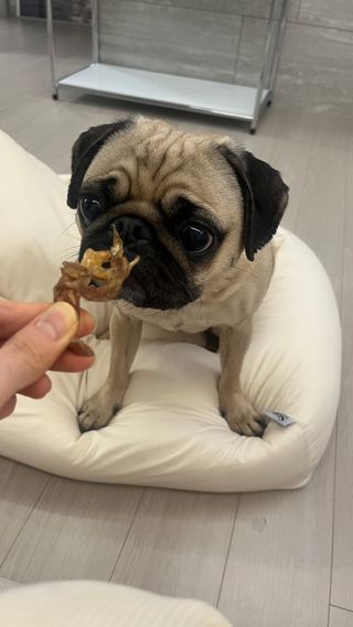 은때님이 올린 리뷰 사진 1