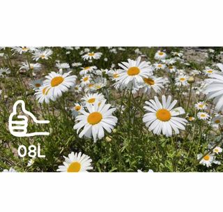 0.8L 마케팅팀 - — 4.5점을 준 리뷰어가 2021년 5월 올린 사용 사진