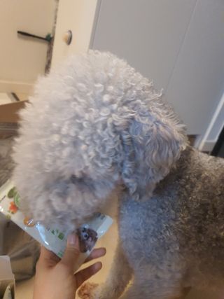 인스타(__180226)맞팔할게요💗님이 올린 리뷰 사진 2