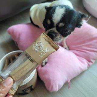 썽이mom앙꼬님이 올린 리뷰 사진 2