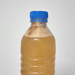 송린깡님이 올린 리뷰 사진 2