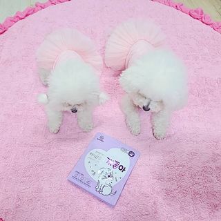 삼숑이맘님이 올린 리뷰 사진 1