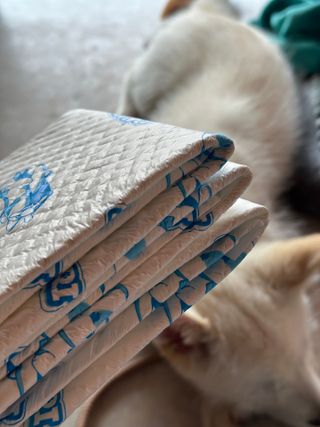 냥도동인간님이 올린 리뷰 사진 3