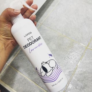 JeonEunju님이 올린 리뷰 사진 2