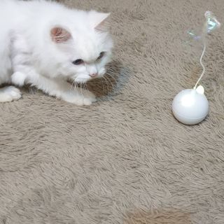 suususu님이 올린 리뷰 사진 3