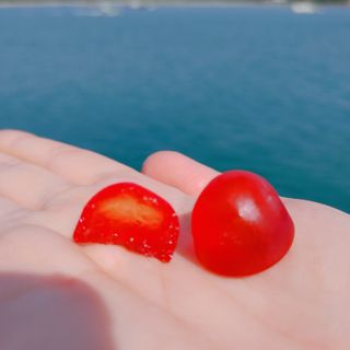오란C파인님이 올린 리뷰 사진 2