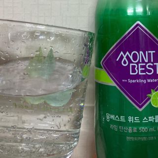 몽베스트 Montbest with Sparkling water Lime20병 — 4.5점을 준 리뷰어가 2022년 5월 올린 사용 사진