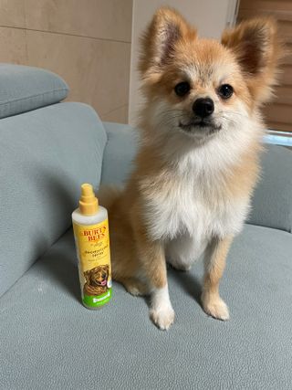 용빈맘님이 올린 리뷰 사진 1