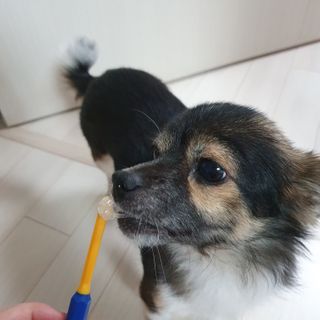 꽃수니어니님이 올린 리뷰 사진 4