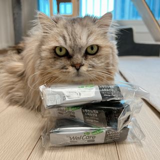 블랑님이 올린 리뷰 사진 2