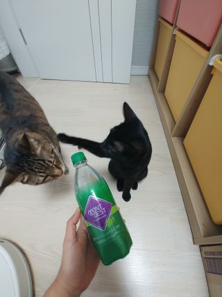 몽베스트 Montbest with Sparkling water Lime20병 — 4.5점을 준 리뷰어가 2021년 10월 올린 사용 사진