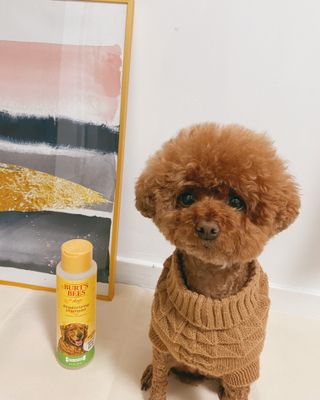 조이님이 올린 리뷰 사진 2