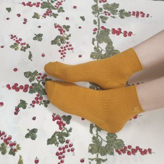 [사이즈가 있는 양말 필로이] 남/여 골지 발목 양말 4족 세트 남【S, M, L, XL】여【S, M, L】_컬러 랜덤 — 5점을 준 리뷰어가 2022년 6월 올린 사용 사진