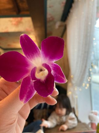 happysun님이 올린 리뷰 사진 2