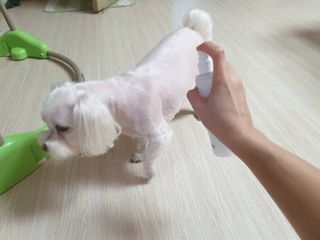 사라님이 올린 리뷰 사진 2