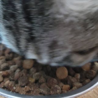 란다김님이 올린 리뷰 사진 4
