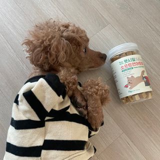 [펫시밀] 원물그대로 영양듬뿍 진공동결건조 북어트릿75g,치킨트릿100g,연어트릿75g 강아지 고양이 간식 — 5점을 준 리뷰어가 2023년 5월 올린 사용 사진
