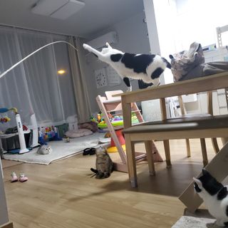 프랑프랑애드님이 올린 리뷰 사진 4