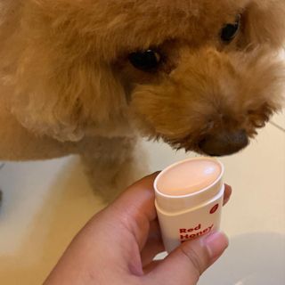 코끼리님이 올린 리뷰 사진 2