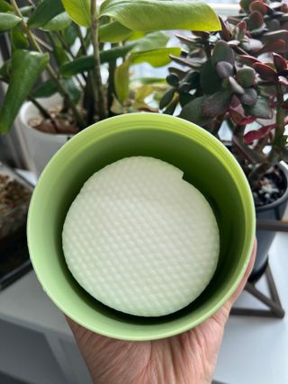 마리씌님이 올린 리뷰 사진 3