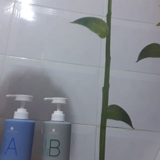 나무그늘님이 올린 리뷰 사진 3
