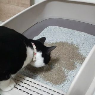 묨묨님이 올린 리뷰 사진 1